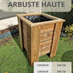 Colonne végétale en bois massif