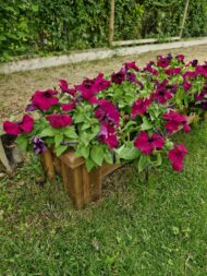 Écrin fleuri en bois massif – Image 4