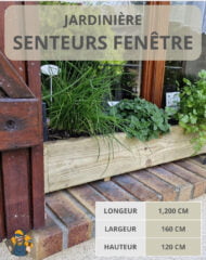 Arômes de fenêtre en bois massif