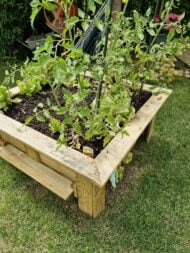 Potager des bout'chou en bois massif – Image 2