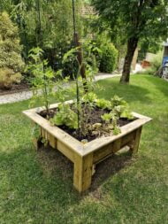 Potager des bout'chou en bois massif – Image 4