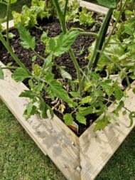 Potager des bout'chou en bois massif – Image 5