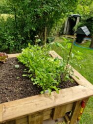 Potager des parents en bois massif – Image 2